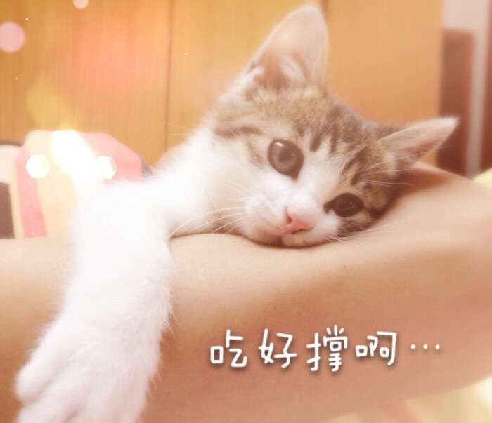 �¸���3�����ԓΡ��ˆ�