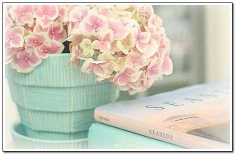 Ӣ�Z�������俼С����