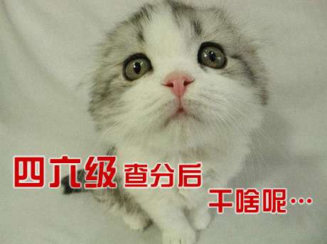 Ӣ�Z��������ԇ�俼����