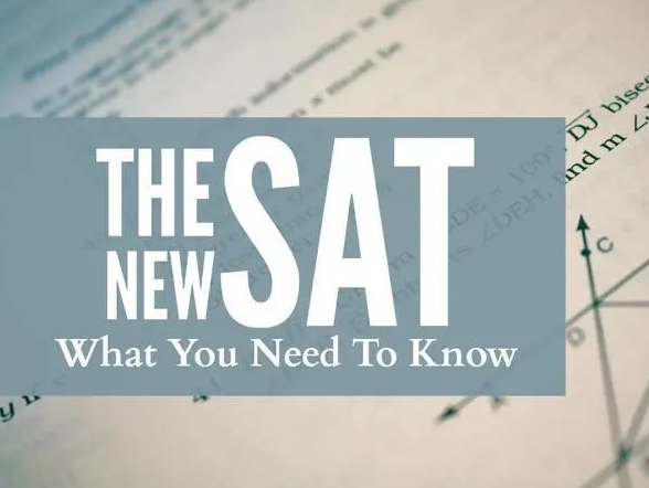 ��SAT��x�}����Ҫ������Щ��(n��i)�ݣ�