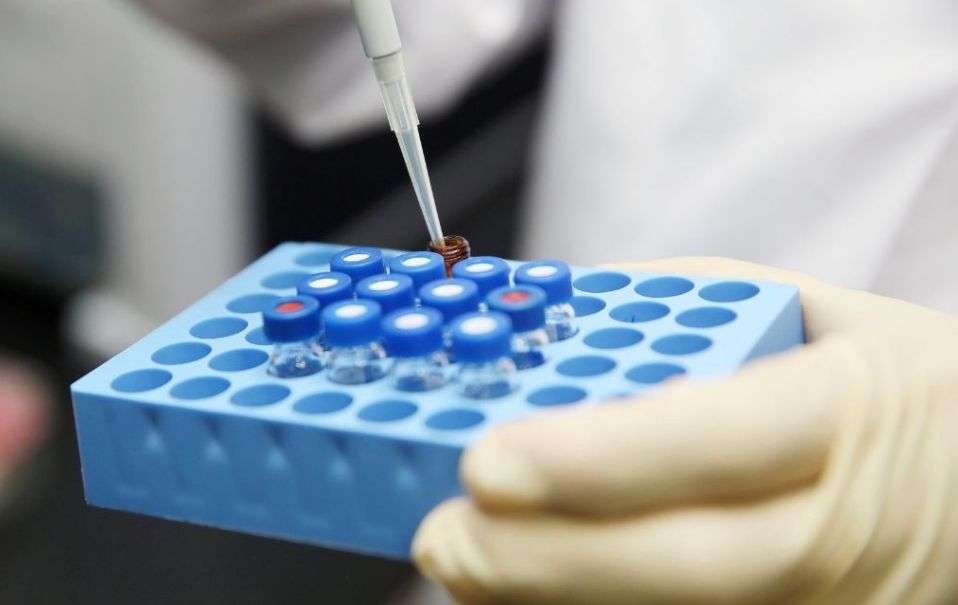 A-level考試生物學(xué)科介紹