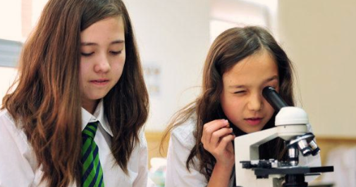 alevel�n�̌������Ɓ��f�Ă���Ŀ���y�W