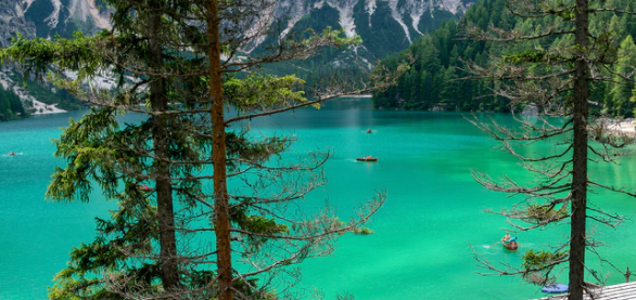 alevel��ԇ�����A���ɿ���ô�o����Ӱ���������Щ��