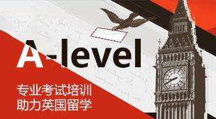 alevel�n�̌W���M�ö����X���֔��ȼ���ʲô��