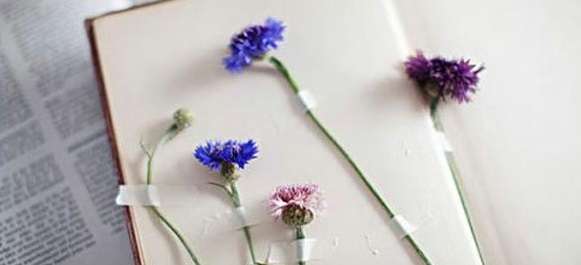 sat��ԇ��Ӗ��x�����L�����y�c����