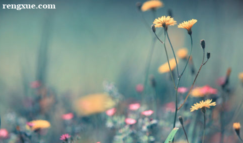 ���bӢ�Z���~�����_����