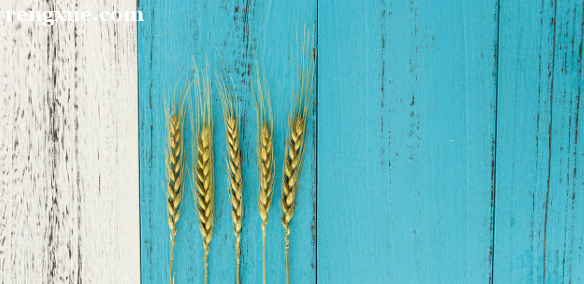 Ӣ�Z���A(ch��)�����ô�W(xu��)��