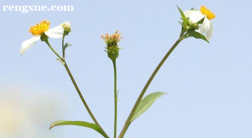 ����Ѹ������Ӣ�Z(y��)���Z(y��)��һ��Ҫ��đ�_���f(shu��)