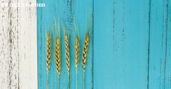 ��W(xu��)��Ӣ�Z��ô���T