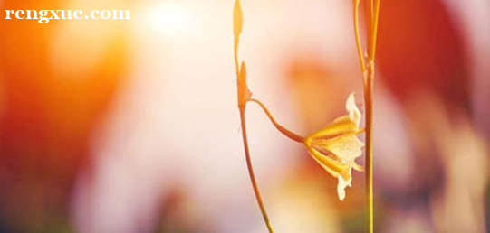 英語口語入門方法有哪些 英語口語練習用什么技巧