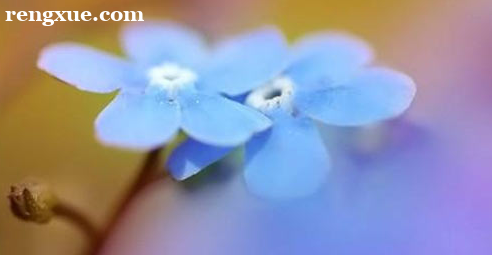 生活中怎樣自學好英語口語