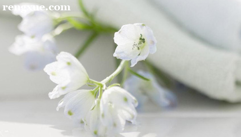 自學(xué)怎么練好英語(yǔ)口語(yǔ)