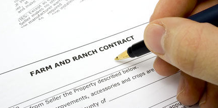 Ӣ�Z�ļ���ԇ�������c���Y