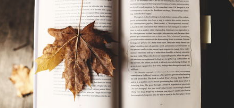 GRE��헿�ԇ��Έ�����