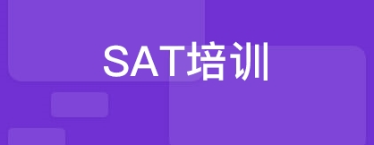 ��SAT�Z����ԇ�е����⼼�ɷ���