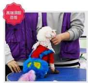 雕花染色+美容sap班