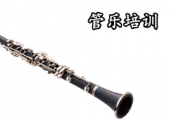 長沙麗音藝術培訓學校--管樂培訓