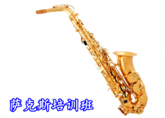 長沙麗音藝校--薩克斯培訓