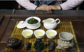 廣州茶藝師培訓