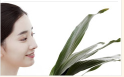 形象設(shè)計(jì)課程培訓(xùn)