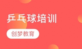 青少年乒乓球培訓(xùn)