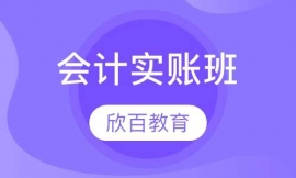會(huì)計(jì)實(shí)賬班(欣百)