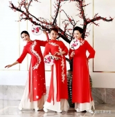 石家莊風尚教育成人旗袍模特培訓