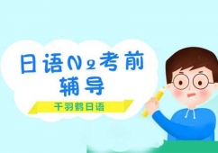 ���ZN2��ǰ�o��(d��o)