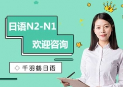 ���ZN2-N1��Ӗ(x��n)