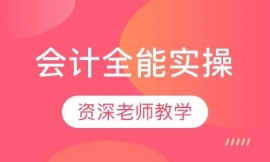 會(huì)計(jì)全能實(shí)操