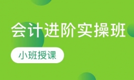 會(huì)計(jì)進(jìn)階實(shí)操班