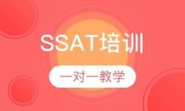 SSAT1對1
