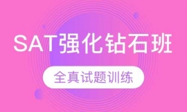 SAT強(qiáng)化鉆石班