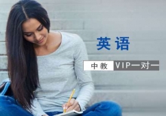 英語(yǔ)中教VIP一對(duì)一培訓(xùn)