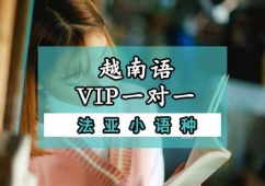 越南語VIP一對一培訓課程