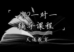 AP一對一輔導課程