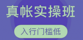 財務會計真賬實操