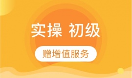 會計實操 初級 實訓 就業