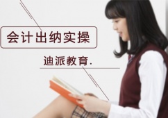 會(huì)計(jì)出納實(shí)操