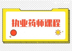 長(zhǎng)春執(zhí)業(yè)藥師課程培訓(xùn)班