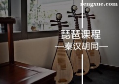 廣州琵琶課程培訓(xùn)班